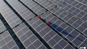 Commentary: Southeast Asia solar panel manufacturers are over-reliant on American demand