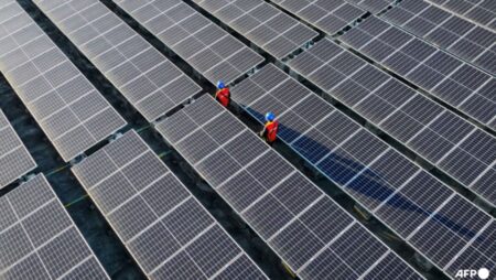 Commentary: Southeast Asia solar panel manufacturers are over-reliant on American demand