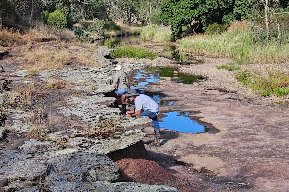 The researchers and volunteers searched for fossils along Broken River.