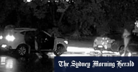 CCTV released after Sydney grandmother killed in drive-by attack