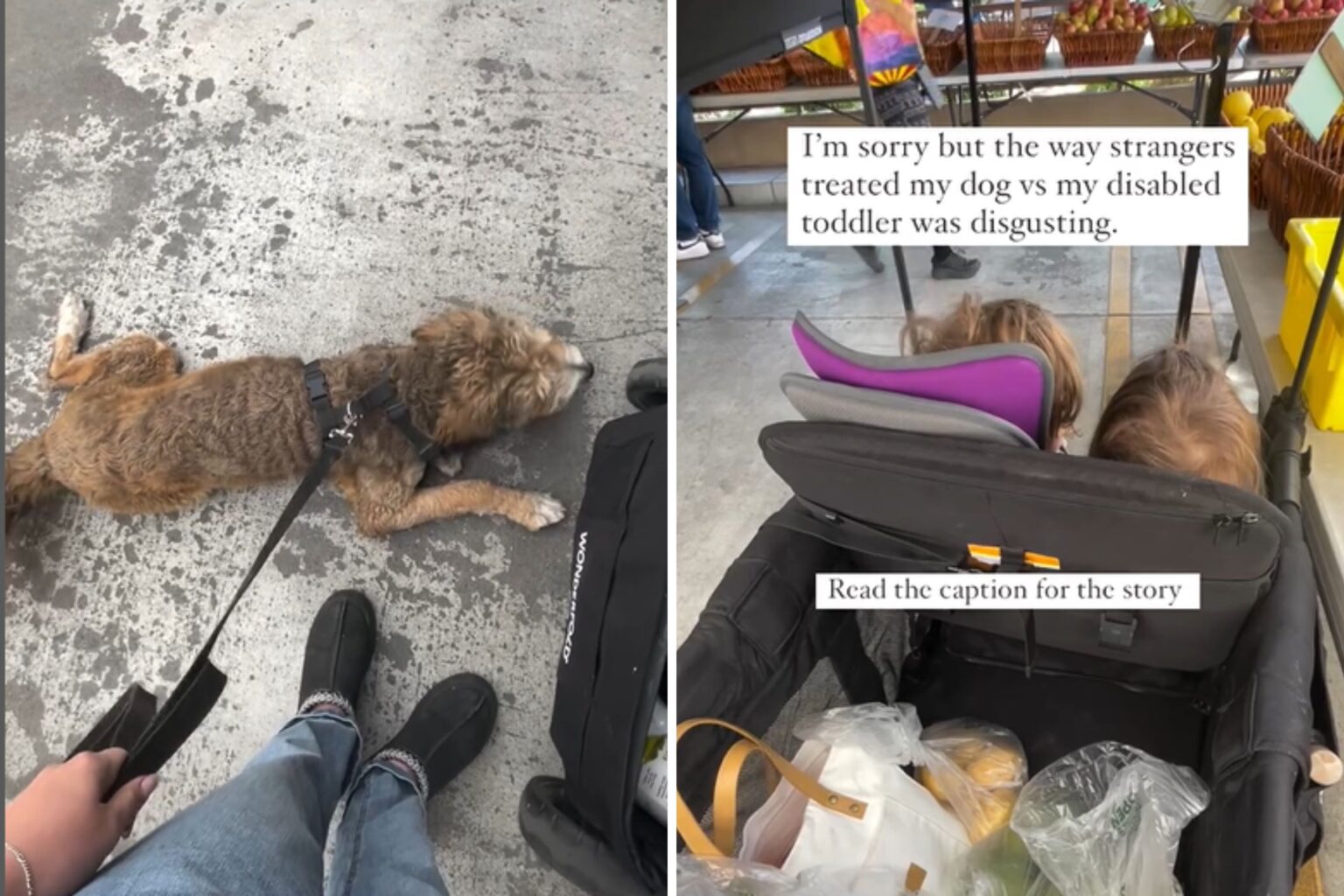Mom Compares How People Treat Her Dog vs. Disabled Child: ‘Disgusting’
