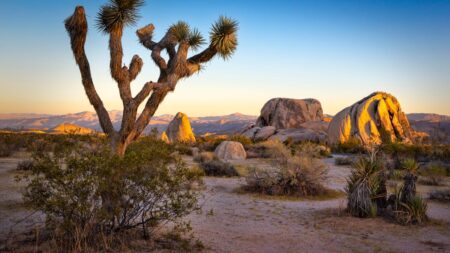 TikTok’s Raunchy Love Letter to the National Parks Might Actually Save Them