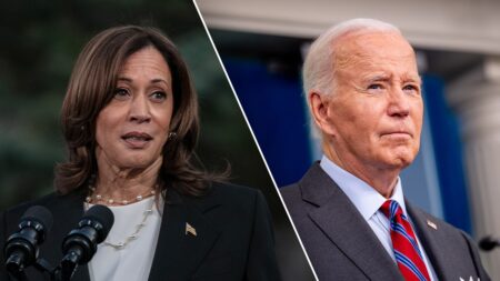 Biden made Harris campaign a ‘nightmare,’ destroyed her chances by staying in 2024 race too long, aides charge