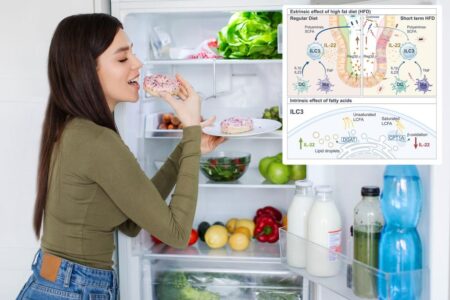 Cheat meals taste so good — new evidence suggests they are so bad for your body