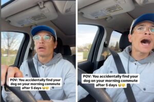 Days After Dog Goes Missing, Man Can’t Believe What Happens on His Commute