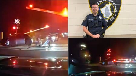 Dramatic video shows hero cops drag dazed driver from car before train smashes into it
