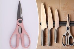 Scissor owners stunned after learning wild variety of ways the grooved metal handles can be used around the home: ‘I’m invested!’