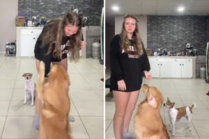 Woman Thinks She’s Filming Dog Training, Then Sees What’s in the Background