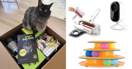 I’m a Cat Parent — These Are the 11 Best Amazon Pet Day Deals I’ve Tested and Recommend