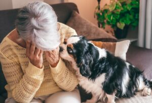 Dear Abby: I’m in love with the much younger man I dog sit for