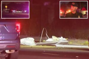 Plane crashes into San Diego homes, sparking multiple fires