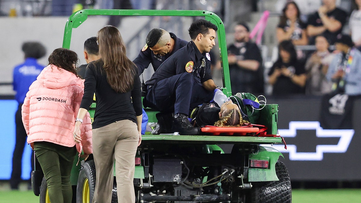 Savy King on stretcher