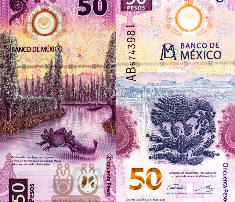 50 peso bill