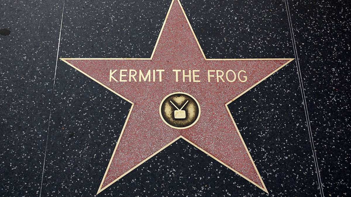 Kermit the Frog Hollywood Star of Fame