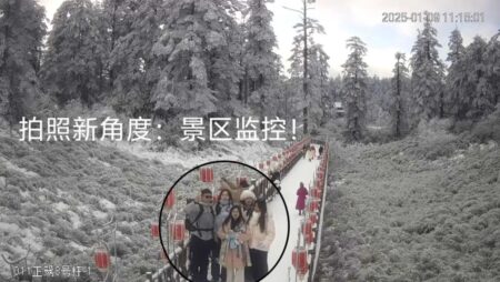Say cheese! Tourists in China pose for CCTV cameras to snap ‘souvenir photos’