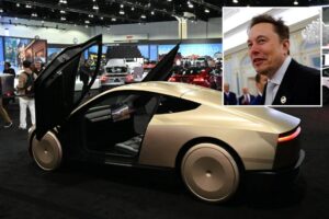 Elon Musk says long-awaited test of Tesla robotaxi on track to launch by end of June