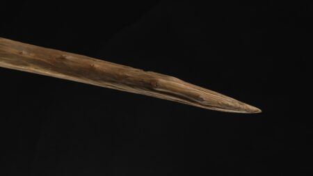 Ancient wooden spears found in Germany may have been wielded by Neanderthals, new study suggests