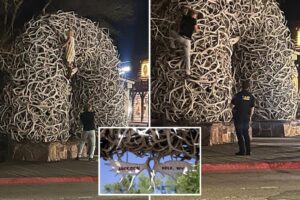Drunk Montana man makes a fool of himself trying to impress women by climbing iconic Wyoming attraction