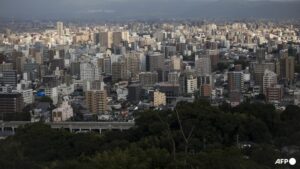 Around 100 dead cats found at Japan woman’s home