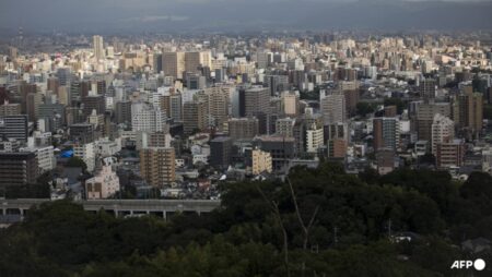 Around 100 dead cats found at Japan woman’s home