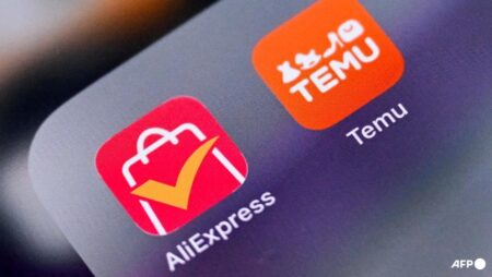 Seoul asks Temu, AliExpress to pull children’s products over safety concerns