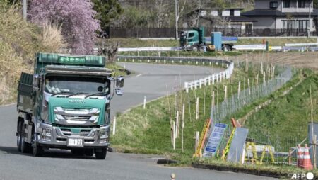 Japan allows longer nuclear plant lifespans