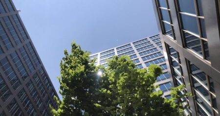 No impact to Toronto’s green standard under new Ontario law, city staff says