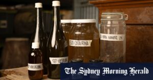 How Biodynamic principles are being used to perfect wine
