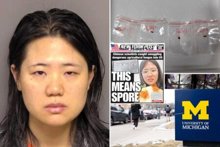 Chinese researcher in alleged plot to smuggle crop-killing fungus into US will remain in custody while seeking private counsel