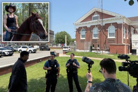 Hero on horseback helps NJ cops nab hit-and-run driver