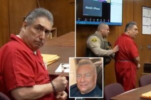Courtroom chaos erupts as son charges at father’s killer: ‘Going to eat your f–king heart’