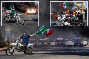 Mexican flag-waving masked protester becomes the symbol of LA anti-ICE riots: ‘Perfect propaganda for Trump’
