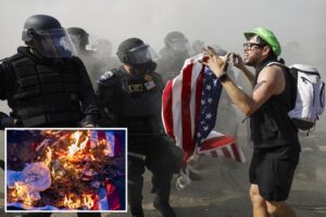 LA anti-ICE rioters enrage locals with revolting anti-American displays and contempt for law and order: ‘Everything that is happening is very bad’