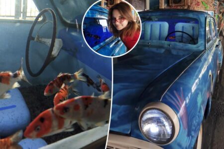 Student discovers hidden aquarium in shocking place: ‘Actually really dangerous’