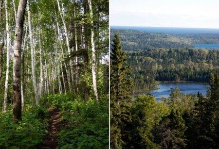 2 campers found dead on remote island in Lake Superior — 5 people were killed in less than a year on Great Lake