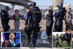 Exclusive | Border Patrol union chief says they’re in it ‘for the long haul’ as anti-ICE riots rage in LA