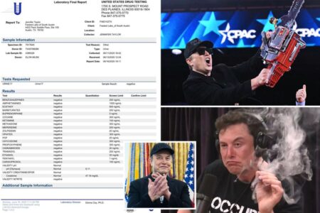 Elon Musk posts purported drug test results to prove he’s not high out of his mind: ‘lol’