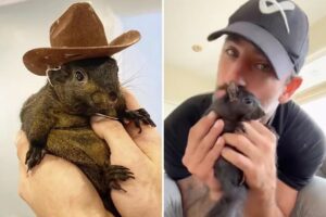 Exclusive | Revenge of P’Nut the Squirrel: NY authorities executed furry friend — not euthanized him, lawsuit says