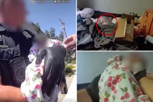 Starving newborn baby rescued in Arizona home several days after mother died: ‘Clinging to life’