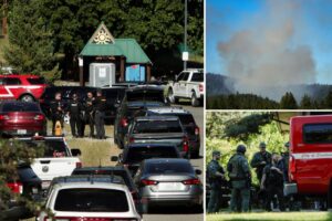 2 firefighters shot dead, 1 injured after ‘sniper’ ambushes crew responding to Idaho blaze