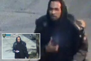 Creep allegedly told random women they had a spider walking on them — and then groped them: NYPD