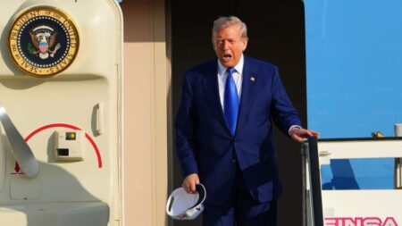 Trump casts doubt over US commitment to NATO mutual defence clause
