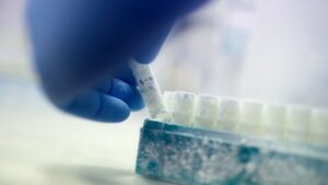 Belgian donor scandal sees man with cancer gene conceive 52 children