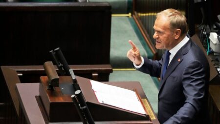 Poland’s PM Donald Tusk survives parliamentary confidence vote