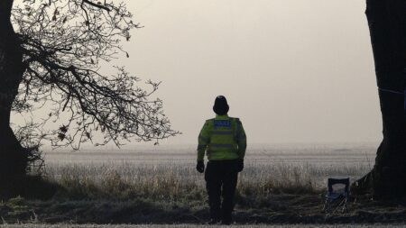 England and Wales police to collect ethnicity data on child sex abuse
