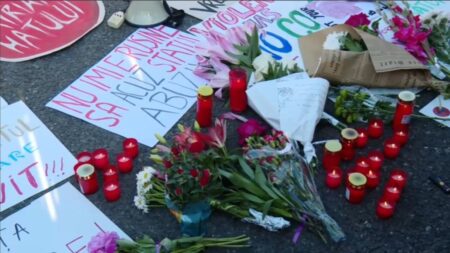 The domestic violence pandemic saw mother killed in front of daughter