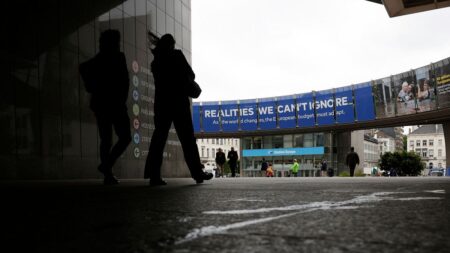 MAGA-aligned conservative groups actively lobby MEPs, report claims