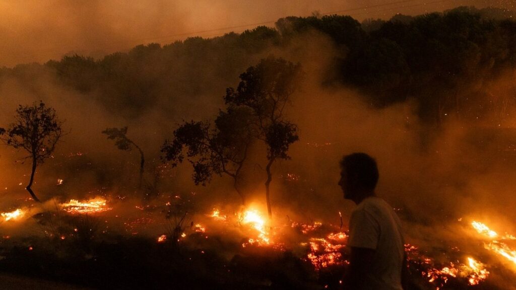 ECA flags inefficiencies in EU wildfire spending