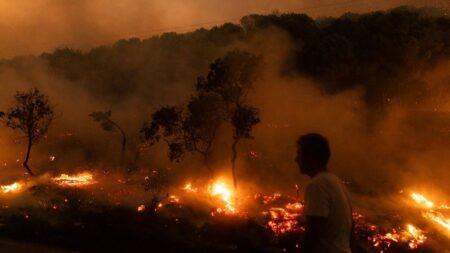 ECA flags inefficiencies in EU wildfire spending