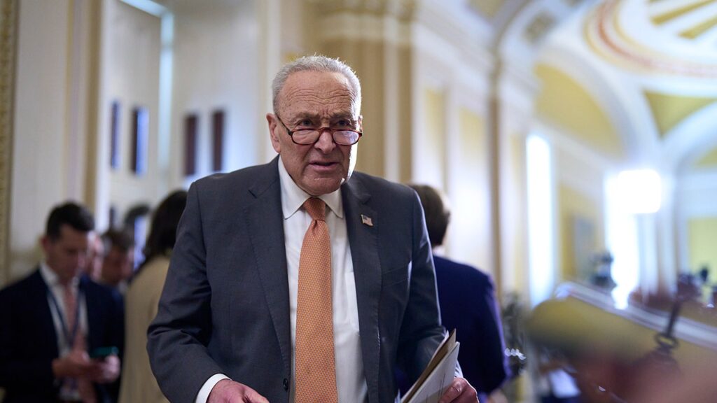 Schumer warns Trump budget bill Medicaid cuts could jeopardize GOP senators: ‘We Are All Going to Die Act’